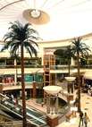Shopping Center Deira
