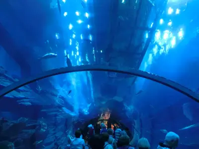 Begehbarer Aquariumtunnel in Dubai mit Fischen über den Besuchern