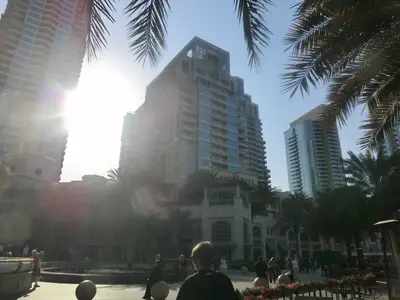 Intensive Sonne zwischen Hochhäusern und Palmen in Dubai
