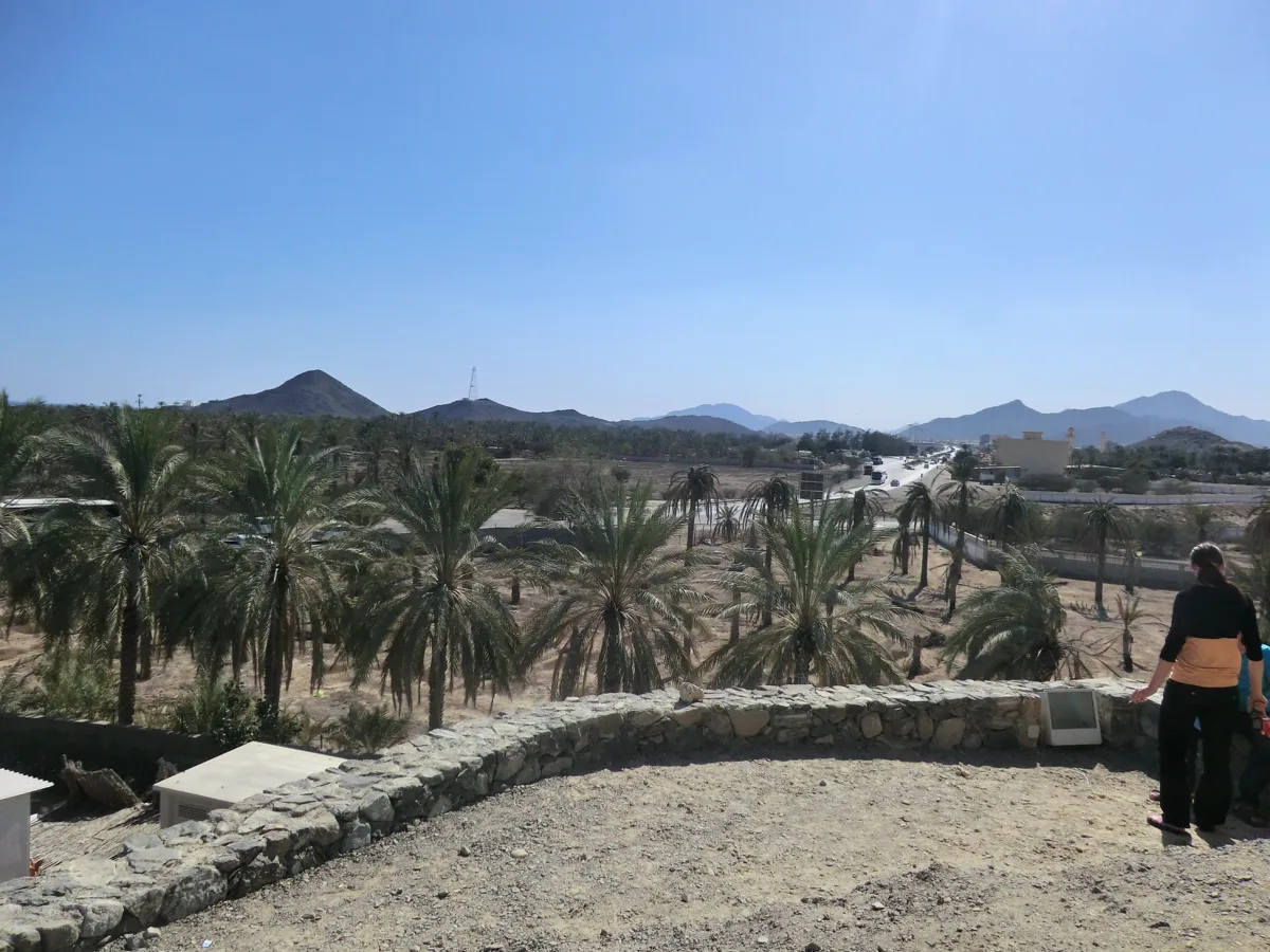 Palmenlandschaft und Berge in den Vereinigten Arabischen Emiraten